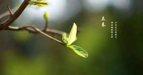 春回大地萬物復(fù)蘇，感恩一路有您相伴——第四屆江蘇優(yōu)質(zhì)農(nóng)產(chǎn)品（南京）展銷會(huì)圓滿落幕
