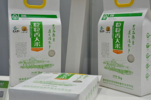 連天下 優(yōu)質(zhì)農(nóng)產(chǎn)品 南京展銷會(huì)盛大開幕，南京竹石引領(lǐng)綠色消費(fèi)新風(fēng)尚